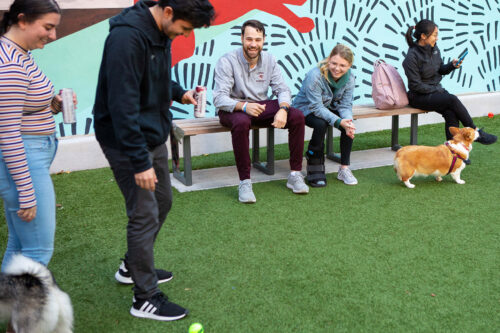 dog park